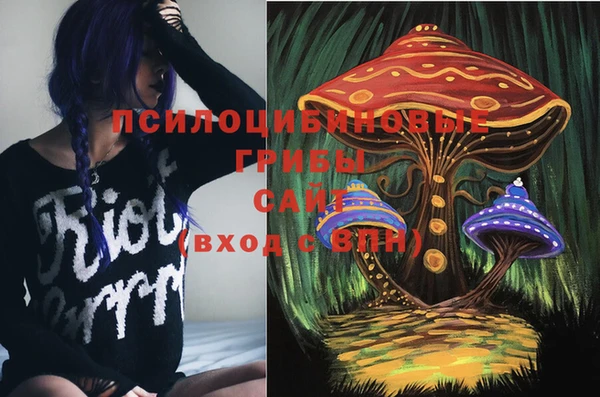 ECSTASY Богданович