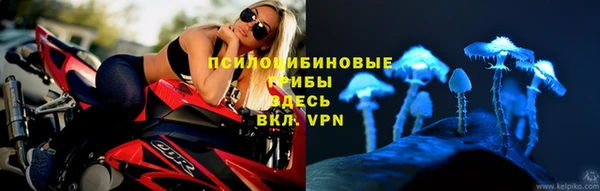 ECSTASY Богданович