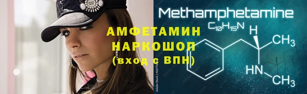 ECSTASY Богданович