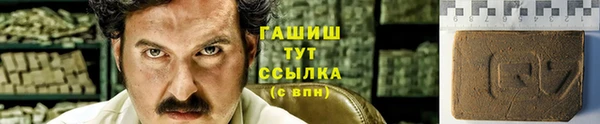 прущие грибы Корсаков