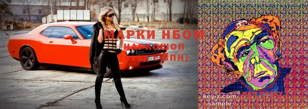 ECSTASY Богданович