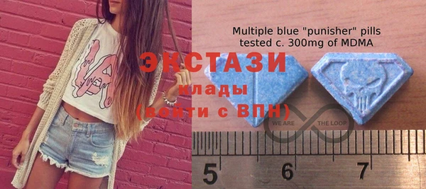 ECSTASY Богданович