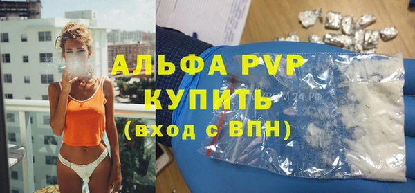 ECSTASY Богданович