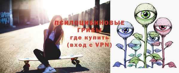 ECSTASY Богданович